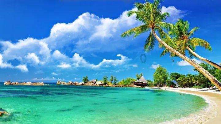夏日课堂